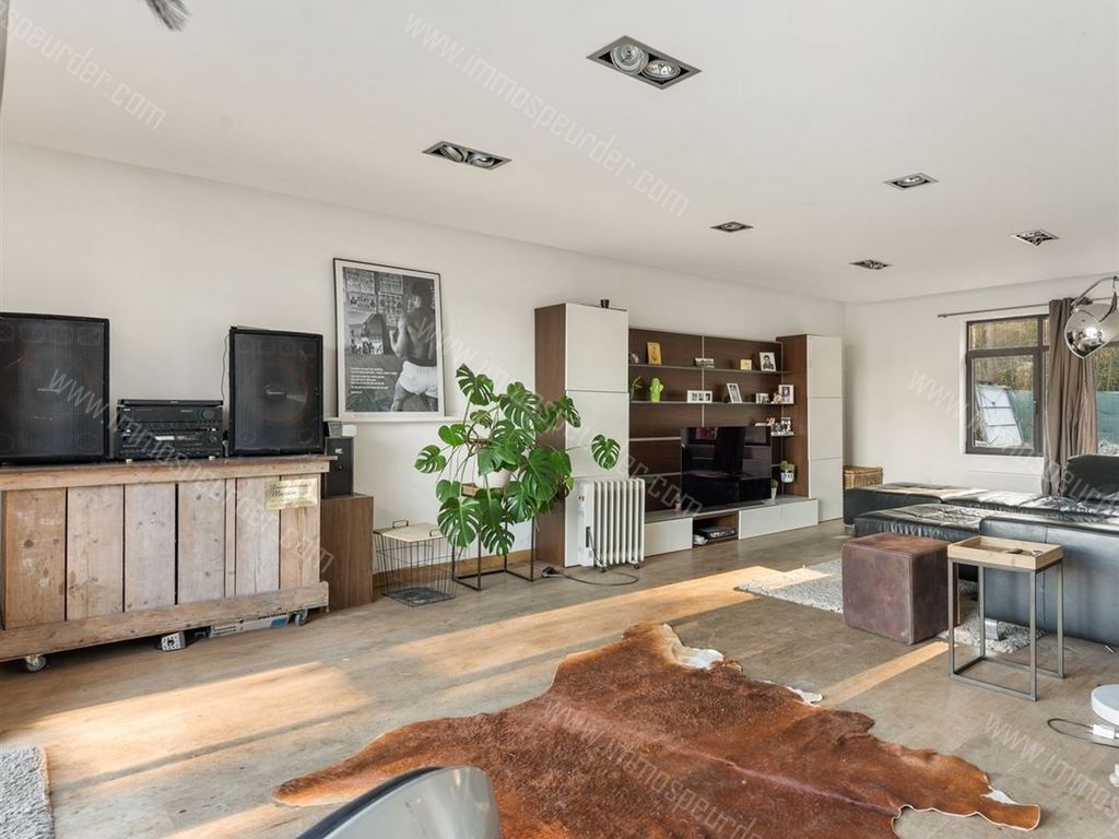 Villa in Zoersel - 485986 - Velsterheide 6, 2980 Zoersel