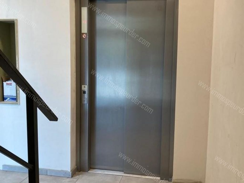 Appartement in Ramsel - 455937 - Westmeerbeeksesteenweg 27, 2230 RAMSEL