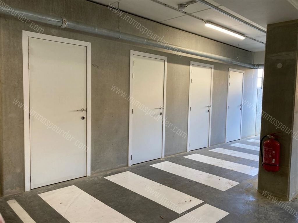 Appartement in Ramsel - 455938 - Westmeerbeeksesteenweg 27, 2230 RAMSEL