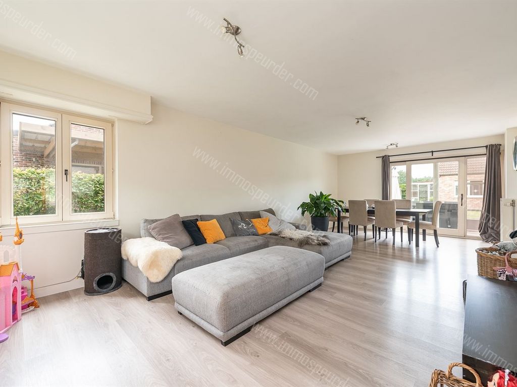 Huis in Zoersel - 947850 - Melkweg 16, 2980 Zoersel