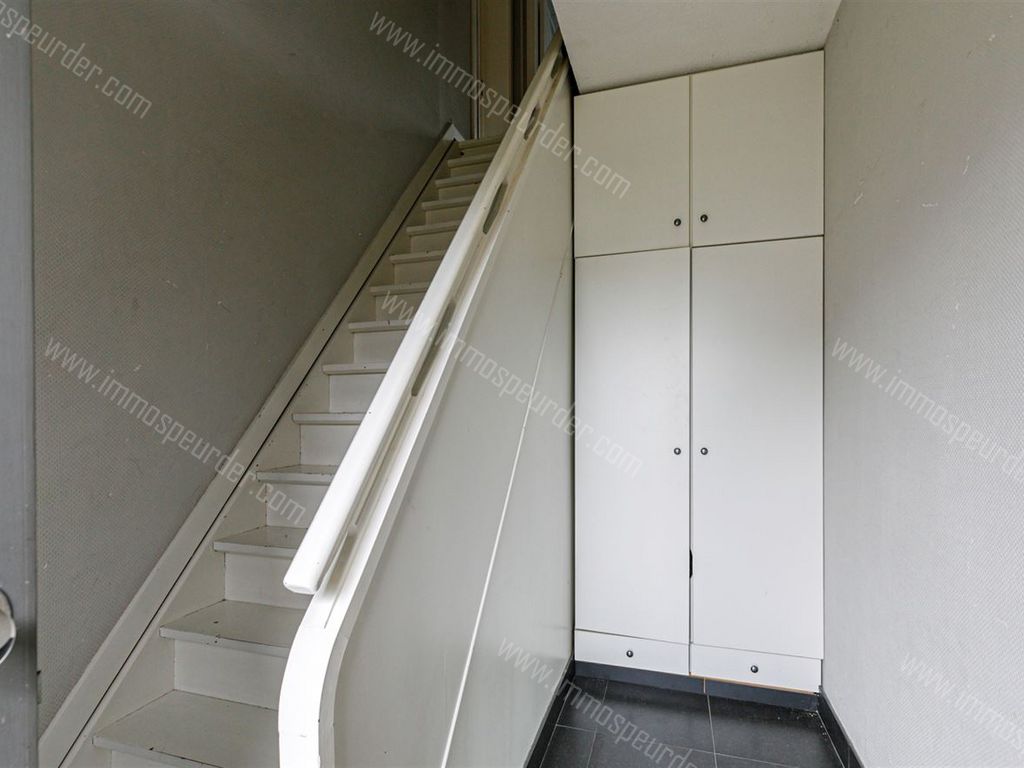 Huis in Herselt - 1000943 - Westerlosesteenweg 57, 2230 HERSELT