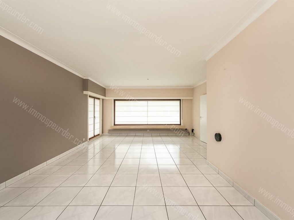 Huis in Zoersel - 1023495 - Kievit 63, 2980 ZOERSEL