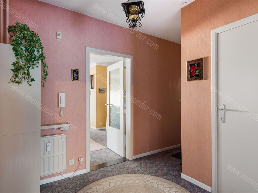 Appartement in Mortsel - 1043313 - Meidoorn 32-, 2640 MORTSEL