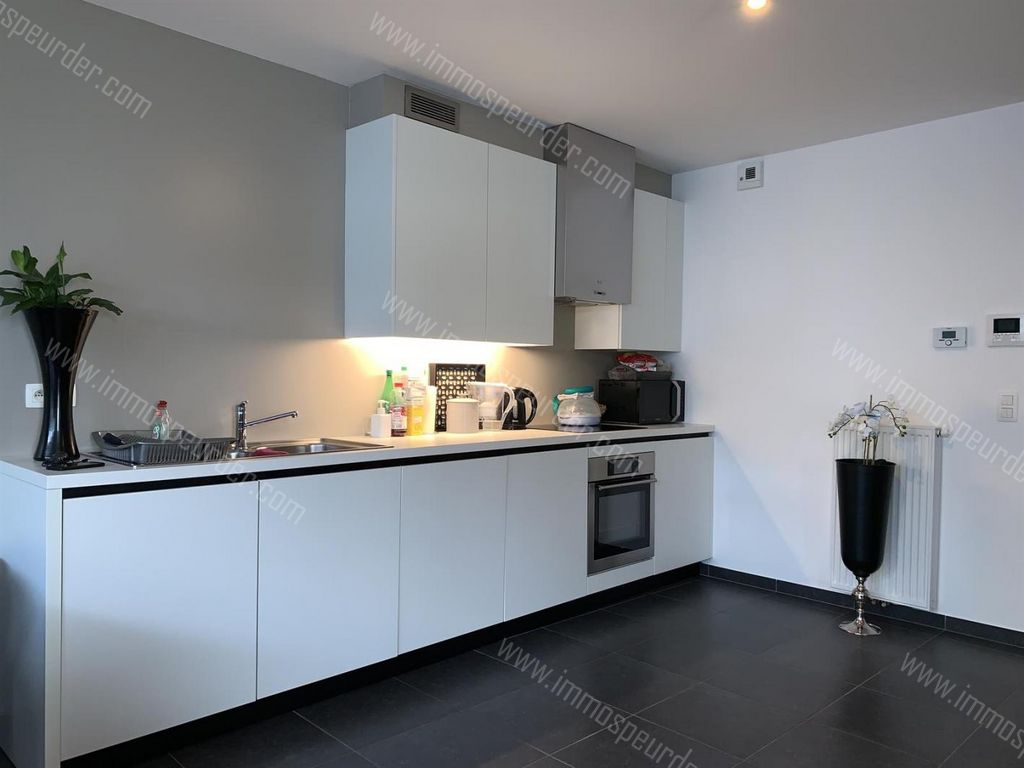 Appartement in Zoersel - 379859 - Achterstraat 15, 2980 Zoersel