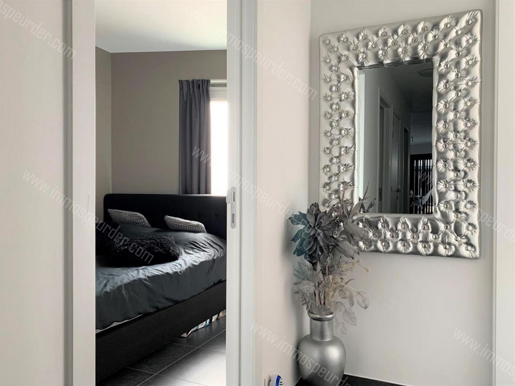 Appartement in Zoersel - 379859 - Achterstraat 15, 2980 Zoersel