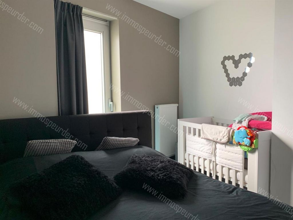 Appartement in Zoersel - 379859 - Achterstraat 15, 2980 Zoersel