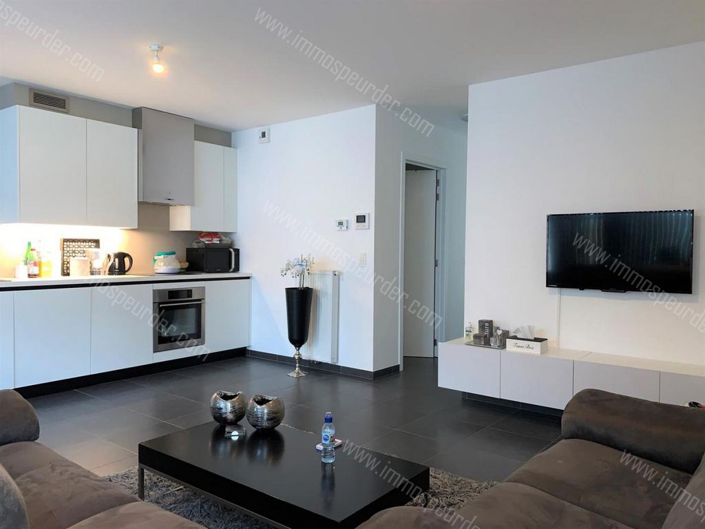 Appartement in Zoersel - 379859 - Achterstraat 15, 2980 Zoersel