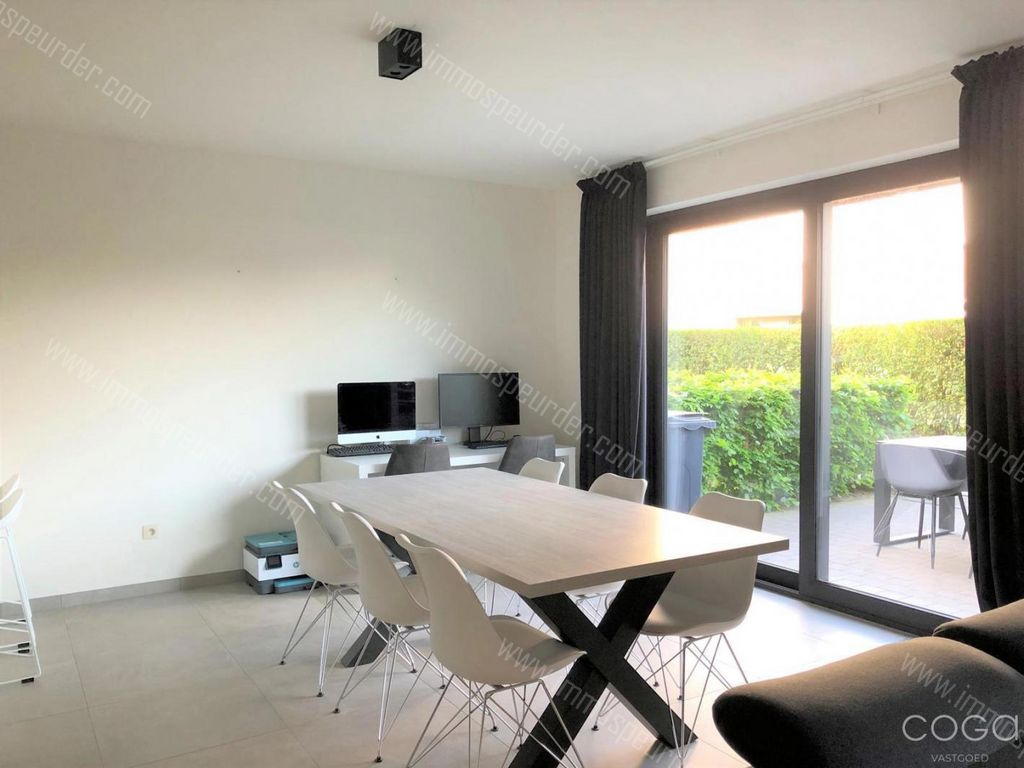 Appartement in Zoersel - 599508 - Achterstraat 35, 2980 Zoersel