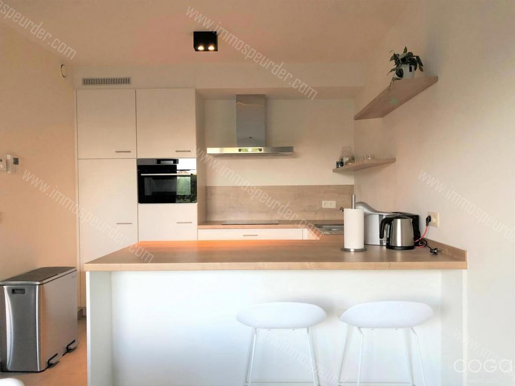 Appartement in Zoersel - 599508 - Achterstraat 35, 2980 Zoersel