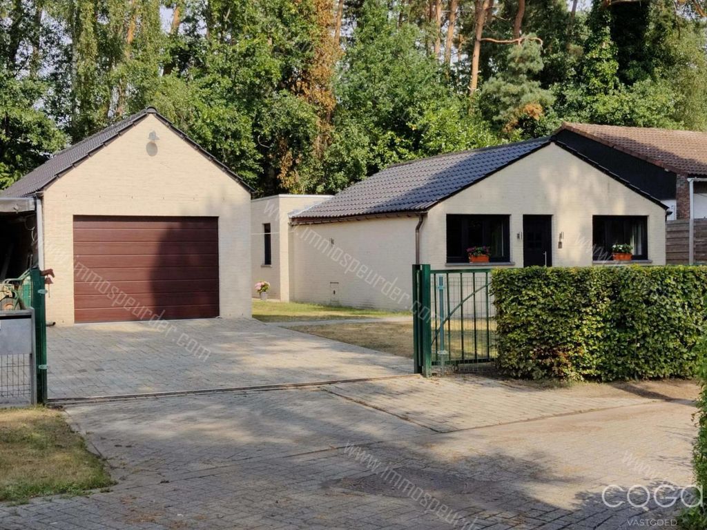 Reeboklaan 2 2960 Sintjobin'tgoor 977141 ImmoSpeurder