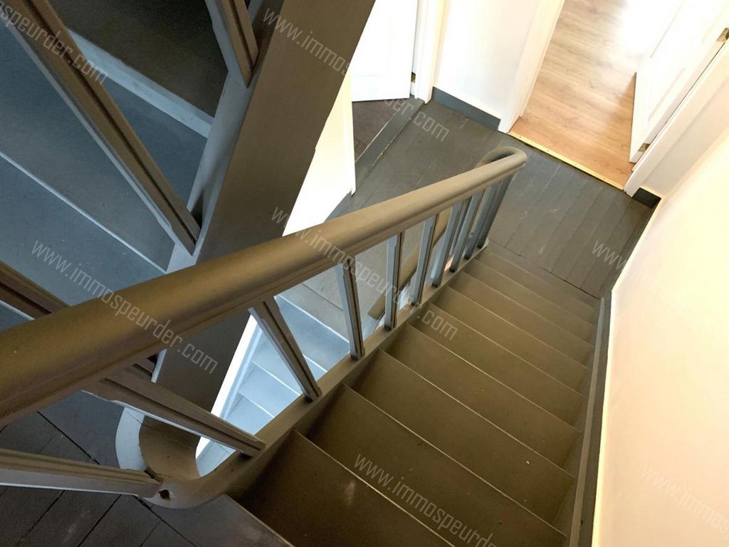 Appartement in Zoersel - 1039695 - Zoerselsteenweg 1, 2980 Zoersel