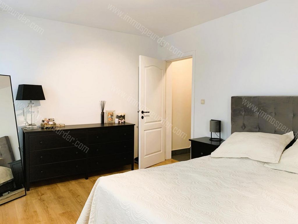 Appartement in Zoersel - 1039695 - Zoerselsteenweg 1, 2980 Zoersel