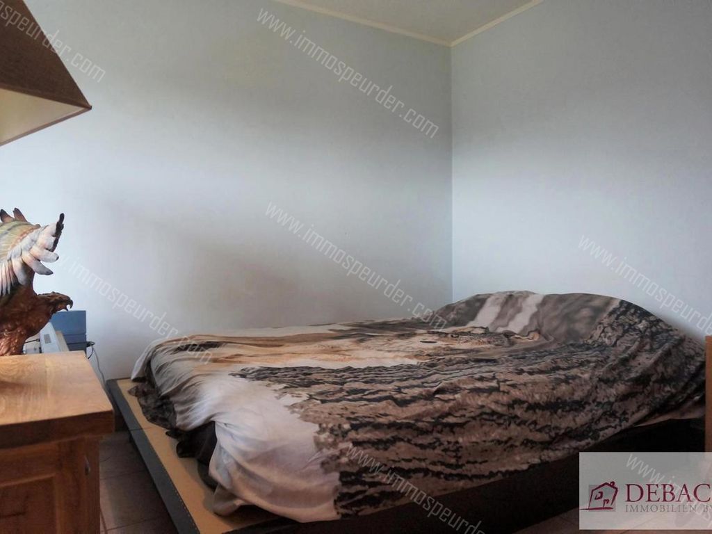 Appartement in Itegem - 576155 - Krombeekweg 23-bus-1, 2222 Itegem