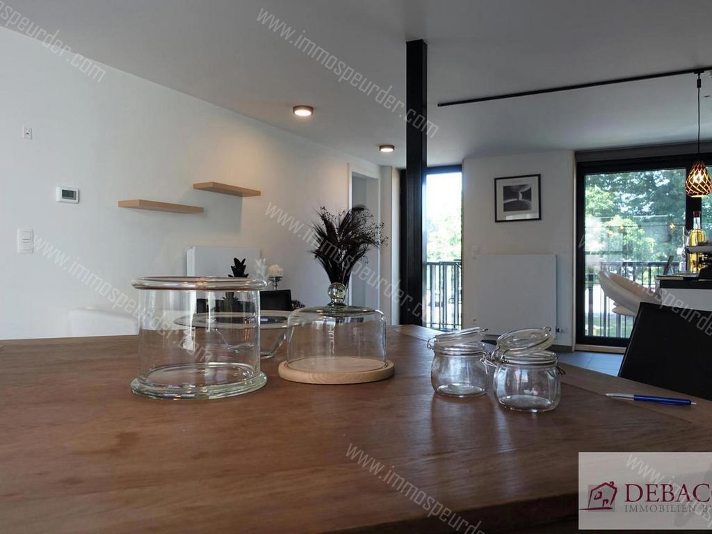 Appartement in Herselt - 629555 - Blauberg 20-bus-1, 2230 Herselt