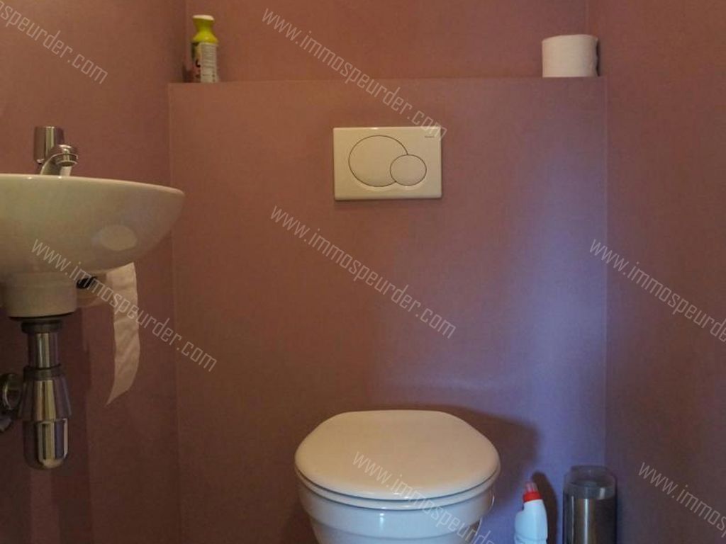 Appartement in Itegem - 981946 - Oudesteenweg 2F-bus-2, 2222 Itegem