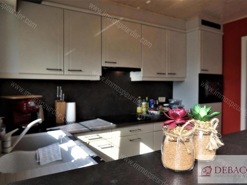 Appartement in Herselt - 1008178 - Blaubergsesteenweg 17-B1, 2230 Herselt