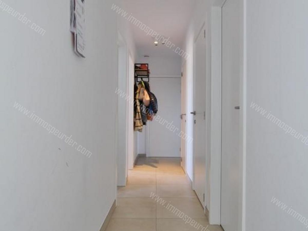 Appartement in Heers - 957551 - Steenweg 97A-4, 3870 Heers
