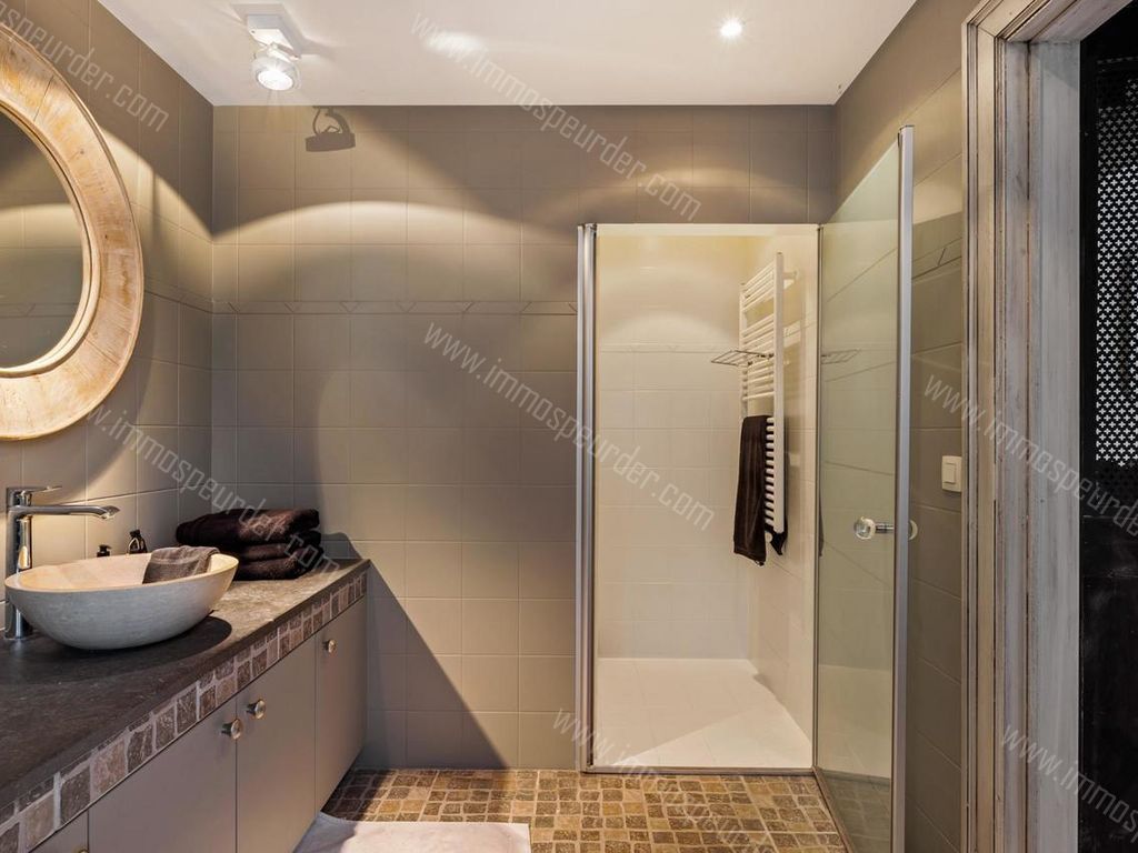 Villa in Zoersel - 441077 - Fazantendreef 15, 2980 Zoersel