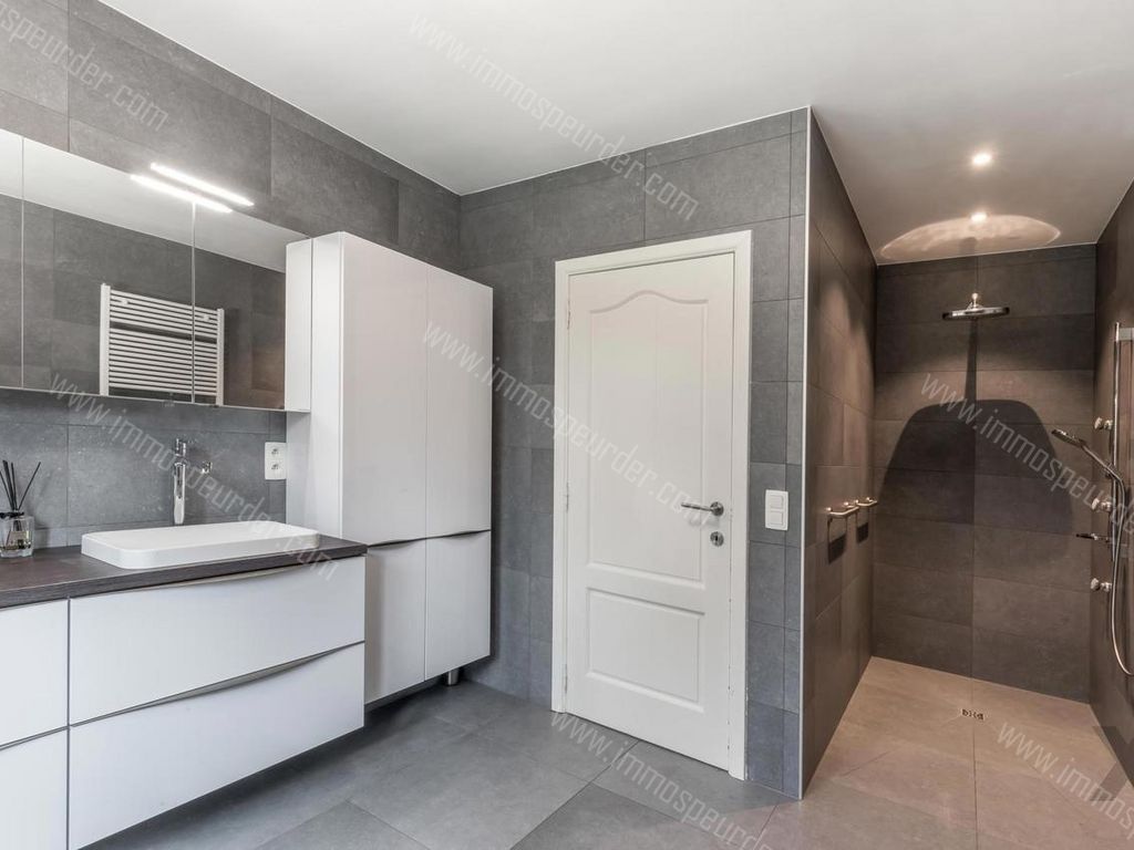 Villa in Zoersel - 568102 - Korte Kwikaardweg 8, 2980 Zoersel