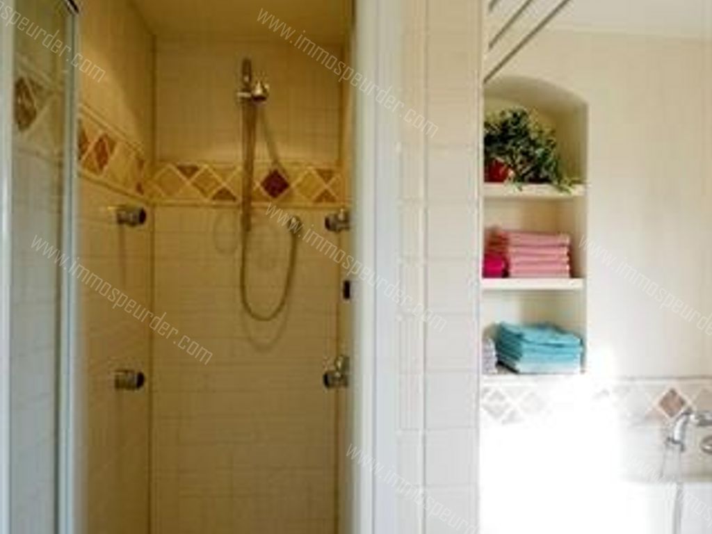 Appartement in Herselt - 574713 - Molenvloed 34, 2230 Herselt