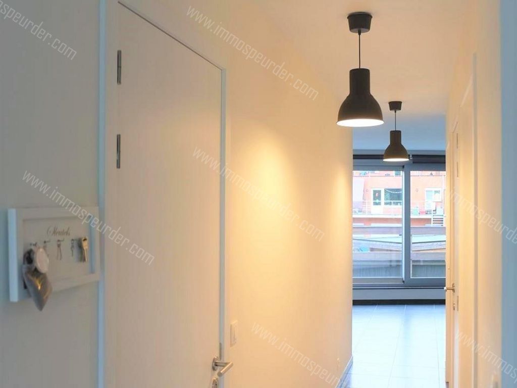 Appartement in Zoersel - 382524 - Achterstraat , 2980 Zoersel