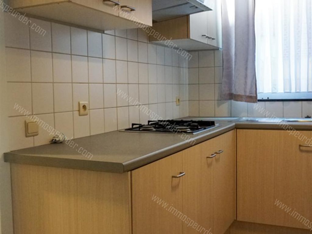Appartement in Zoersel - 564167 - Zoerselsteenweg , 2980 Zoersel