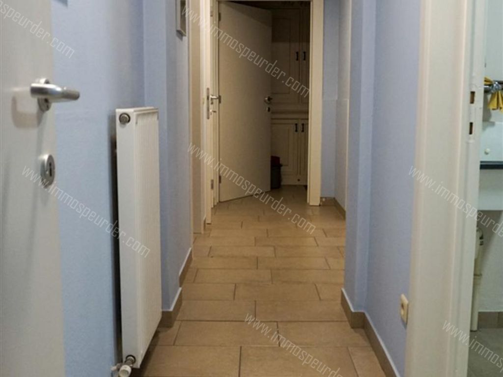 Appartement in Zoersel - 564167 - Zoerselsteenweg , 2980 Zoersel