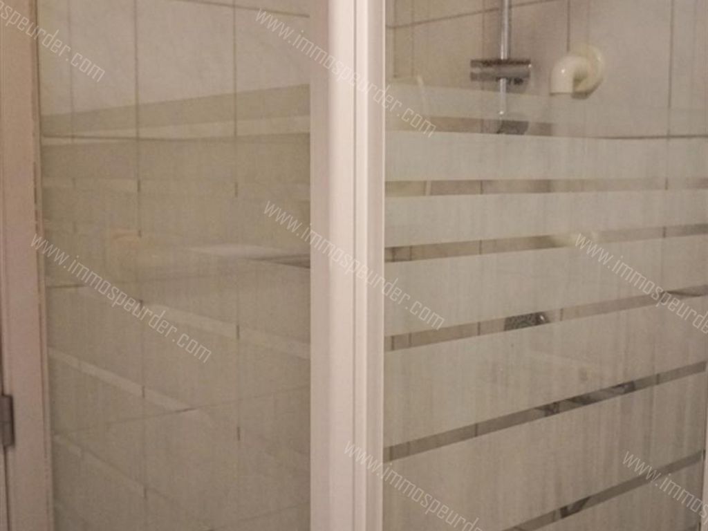 Appartement in Zoersel - 564167 - Zoerselsteenweg , 2980 Zoersel