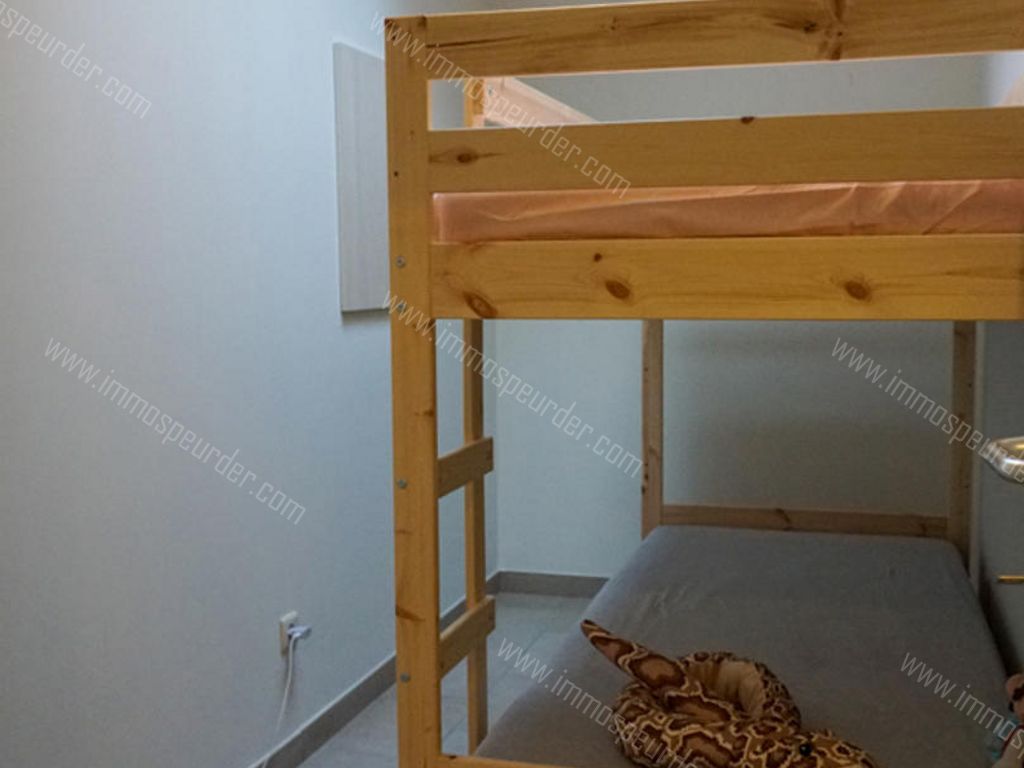 Appartement in Zoersel - 564167 - Zoerselsteenweg , 2980 Zoersel