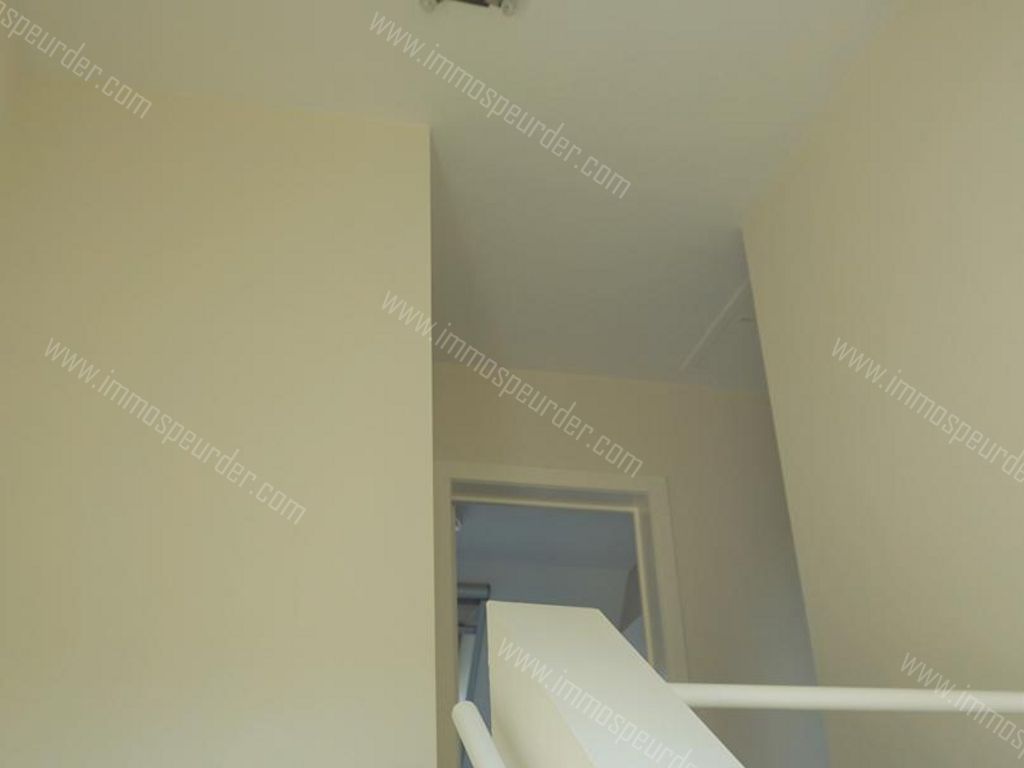 Appartement in Zoersel - 597214 - Kapellei , 2980 Zoersel