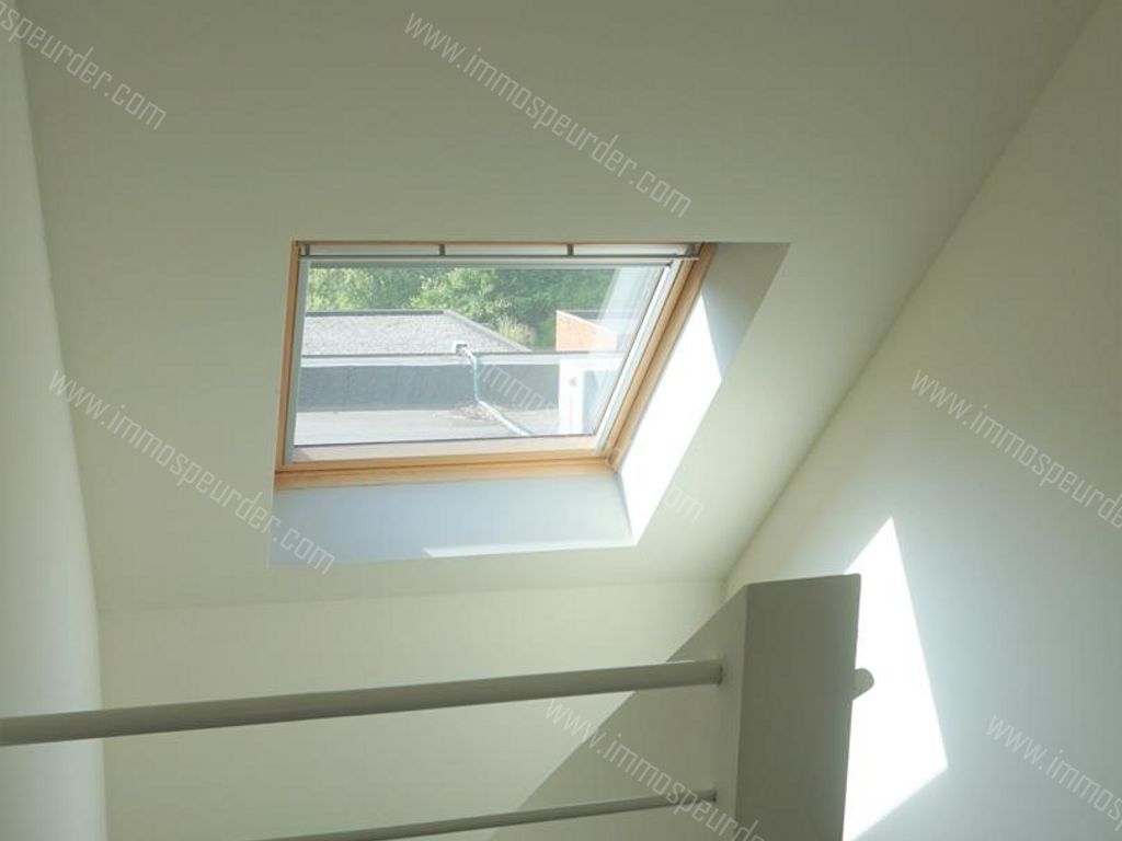 Appartement in Zoersel - 597214 - Kapellei , 2980 Zoersel