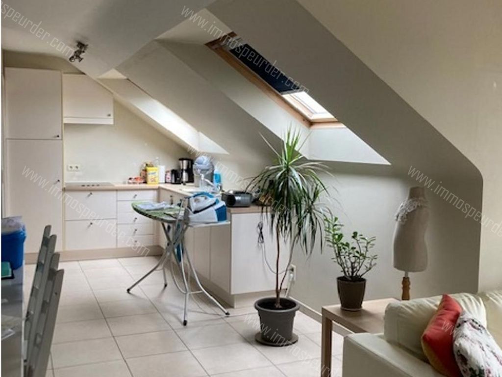 Appartement in Zoersel - 604481 - Handelslei , 2980 Zoersel