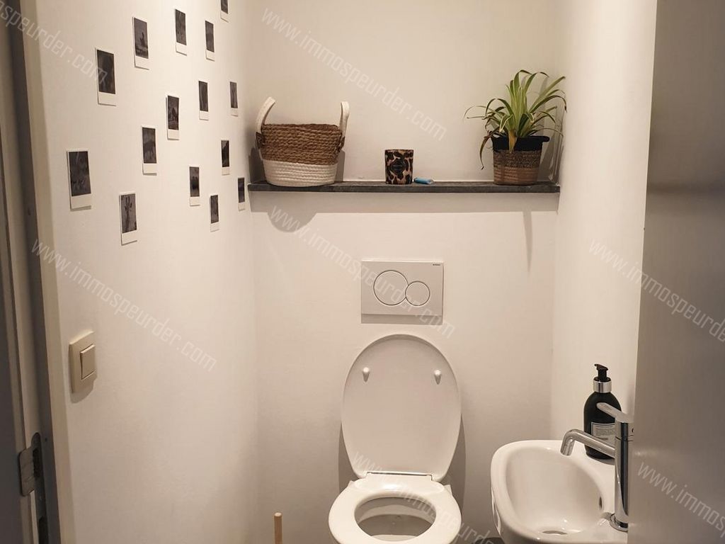 Appartement in Zoersel - 612806 - Alfons Butsstraat , 2980 Zoersel