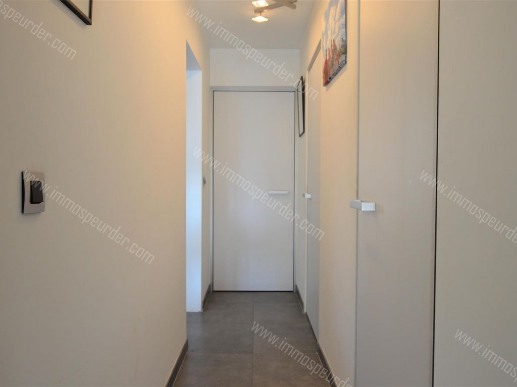 Appartement in Zoersel - 628274 - Kapellei , 2980 Zoersel