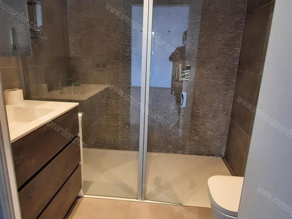 Appartement in Zoersel - 628274 - Kapellei , 2980 Zoersel