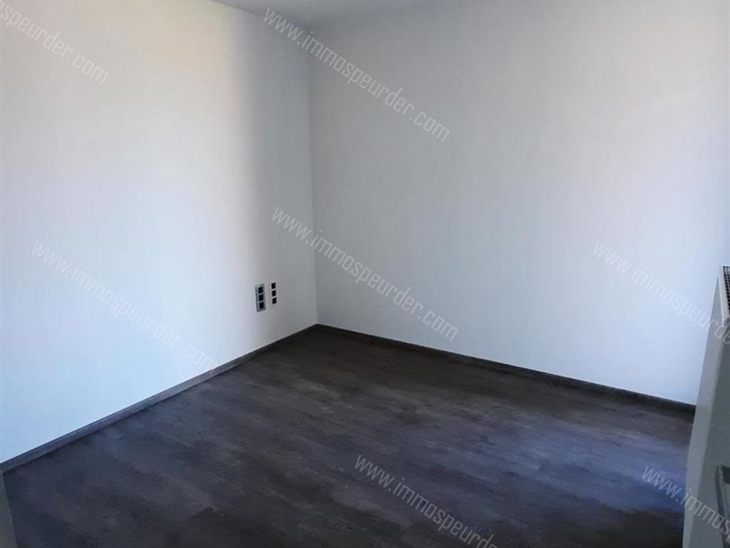 Appartement in Zoersel - 628274 - Kapellei , 2980 Zoersel