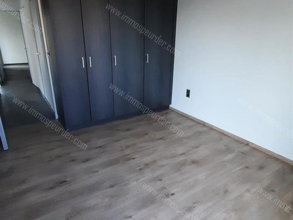 Appartement in Zoersel - 628274 - Kapellei , 2980 Zoersel
