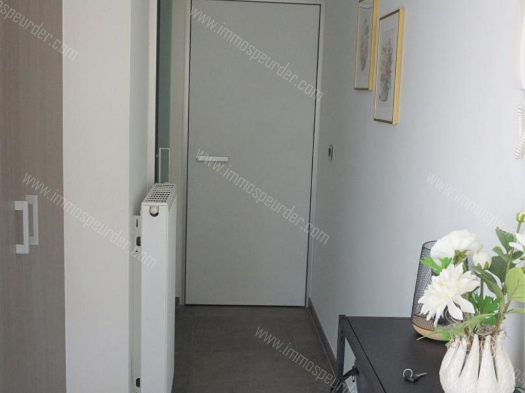 Appartement in Zoersel - 628274 - Kapellei , 2980 Zoersel