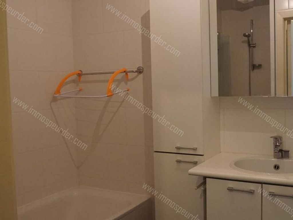 Appartement in Zoersel - 1001955 - Lotelinglaan , 2980 Zoersel