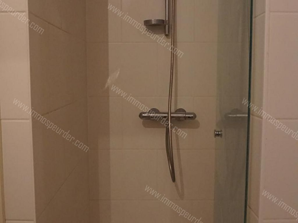 Appartement in Zoersel - 1001955 - Lotelinglaan , 2980 Zoersel