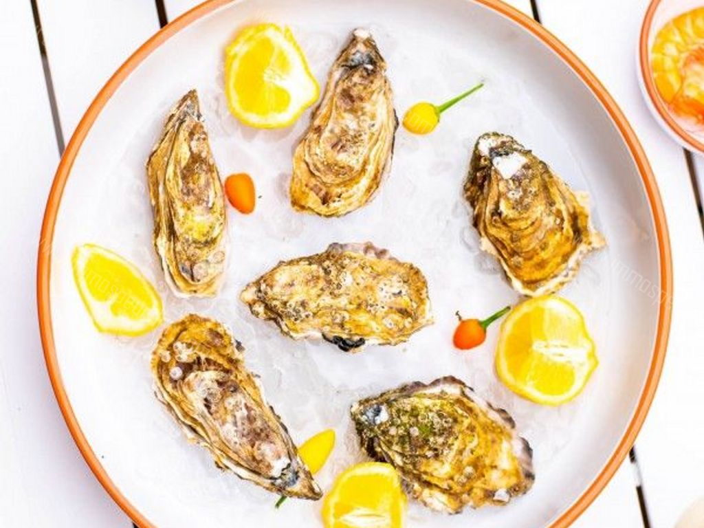 Villa in Nieuwpoort - 383760 - Albert I laan 99, 8620 Nieuwpoort