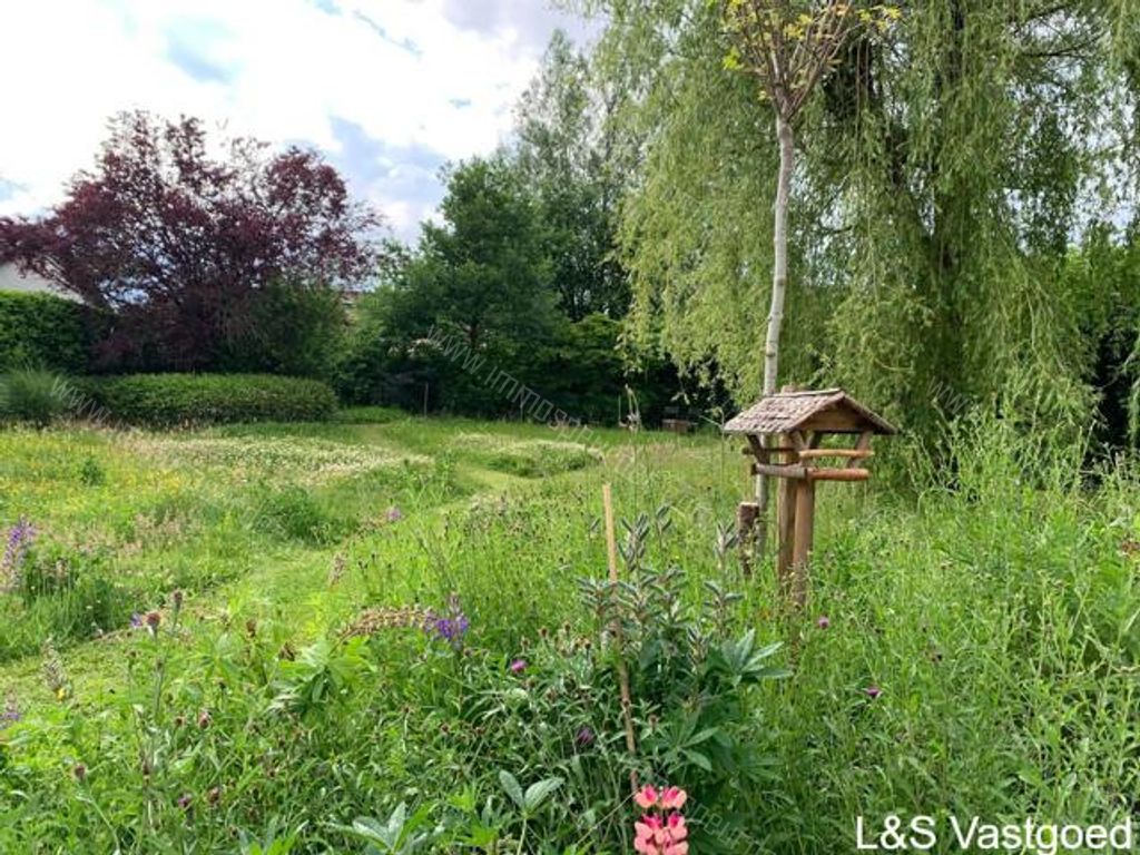 Villa in Dilbeek - 613138 - Molenstraat 5, 1700 Dilbeek