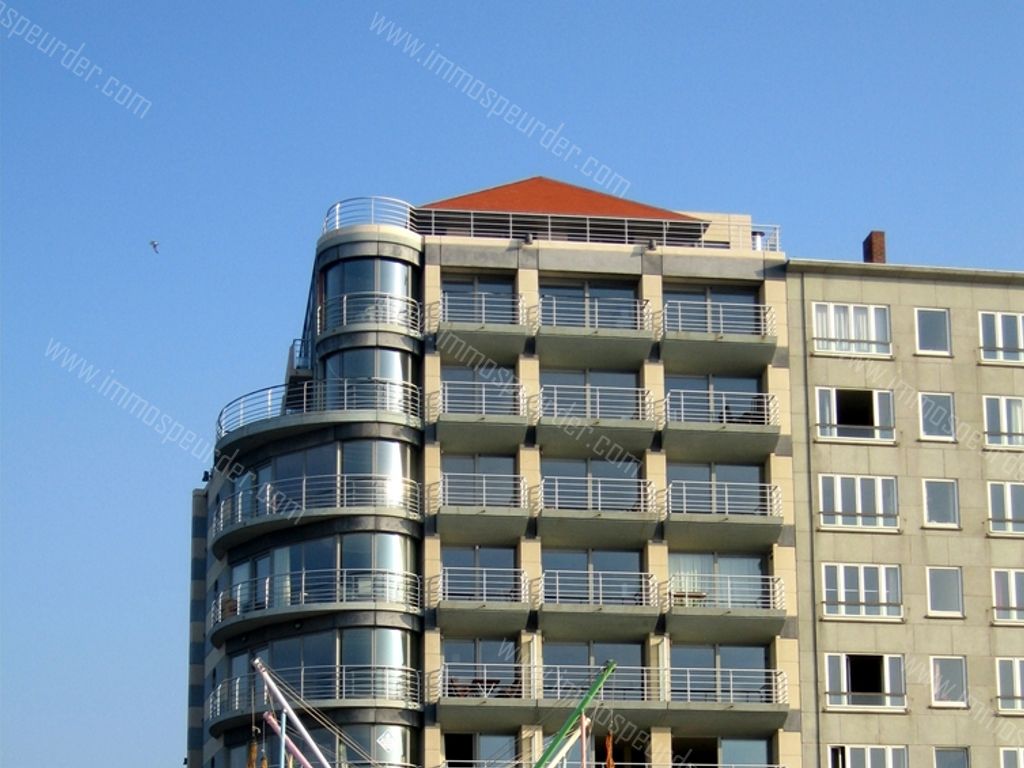 Appartement Te Huur Blankenberge
