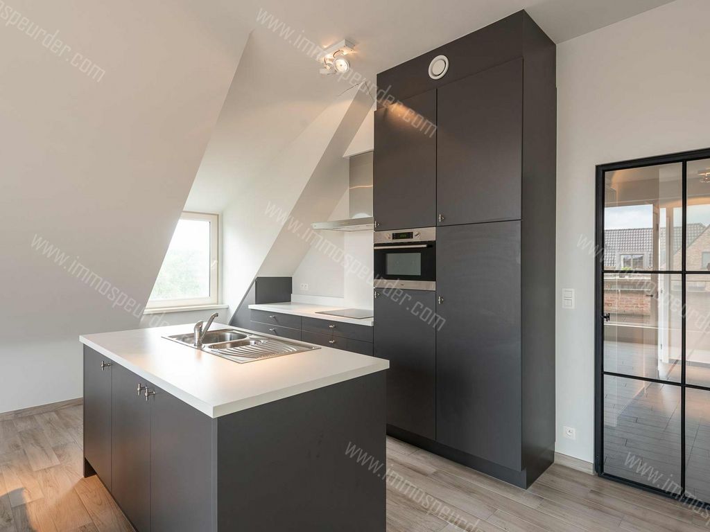 Appartement in Zoersel - 392698 - Jukschot 25, 2980 Zoersel