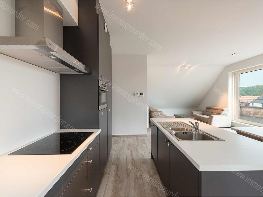 Appartement in Zoersel - 392698 - Jukschot 25, 2980 Zoersel