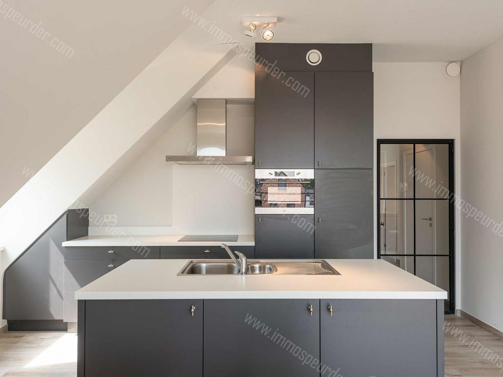 Appartement in Zoersel - 392698 - Jukschot 25, 2980 Zoersel