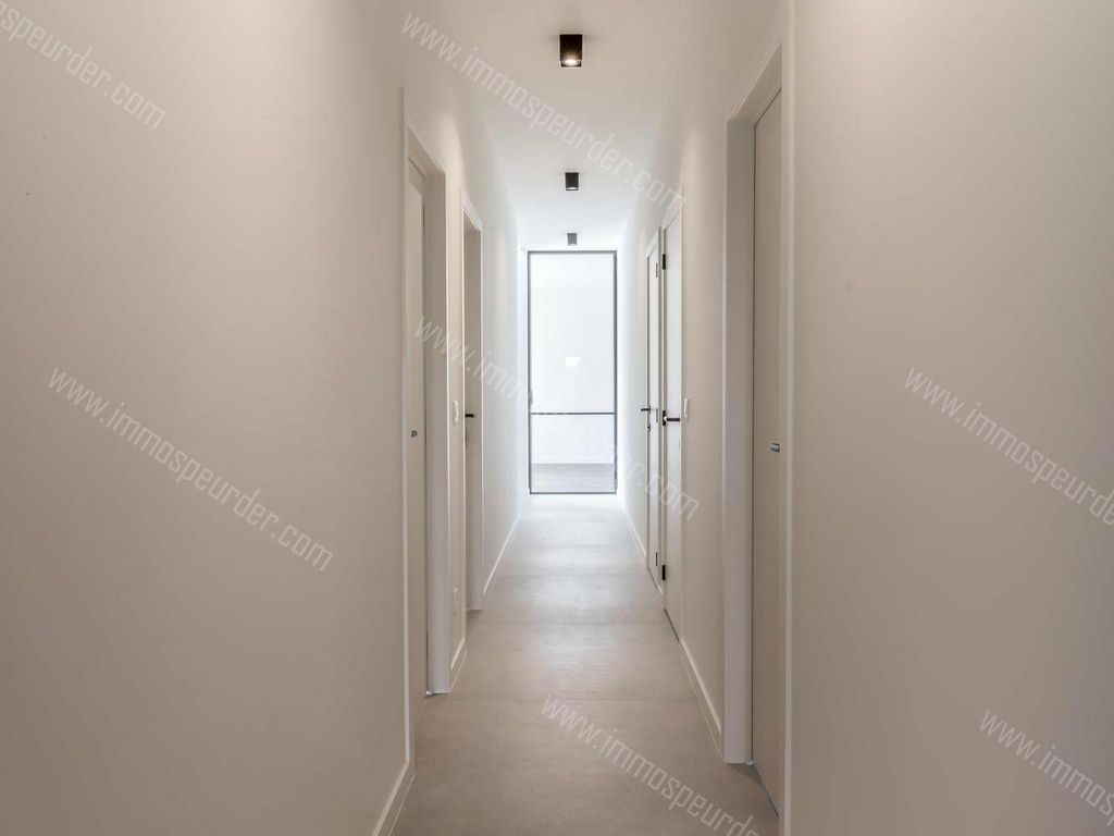 Villa in Zoersel - 995001 - Kwikaard 34, 2980 Zoersel