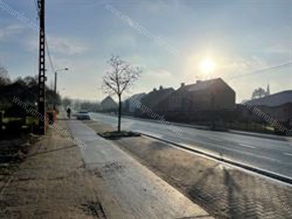 Huis in Lippelo - 994990 - Provincialeweg 95, 2890 LIPPELO