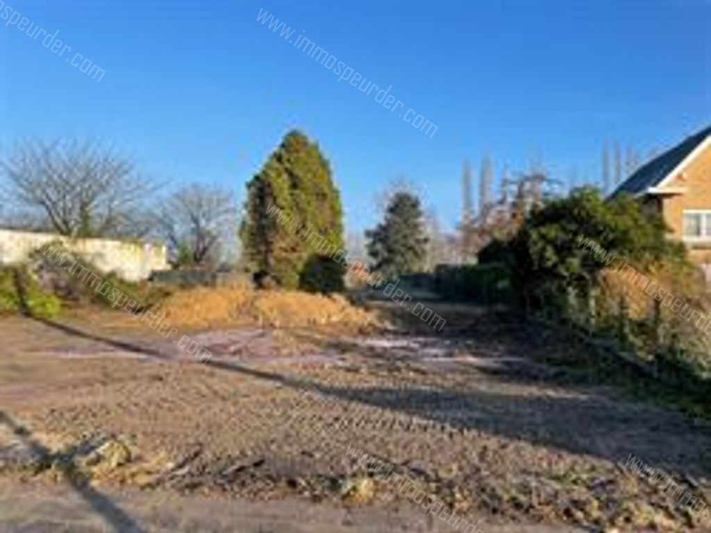 Huis in Lippelo - 994990 - Provincialeweg 95, 2890 LIPPELO