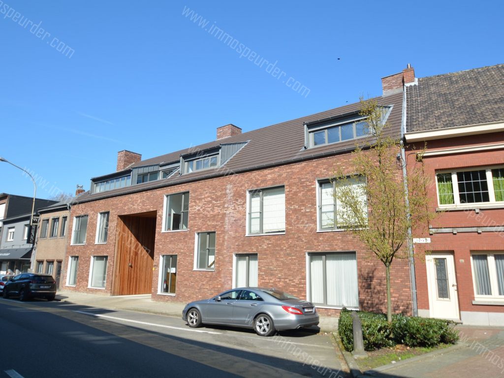 Appartement Te Huur Broechem